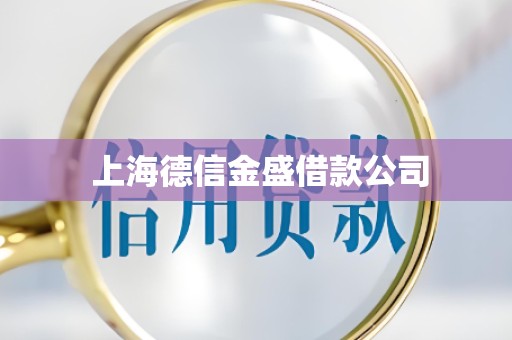  上海德信金盛借款公司