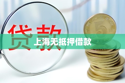 上海无抵押借款