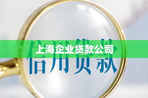 上海企业贷款公司