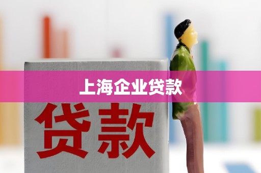上海企业贷款 上海企业贷款